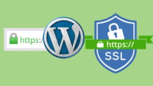 logos Wordpress SSL HTTPS